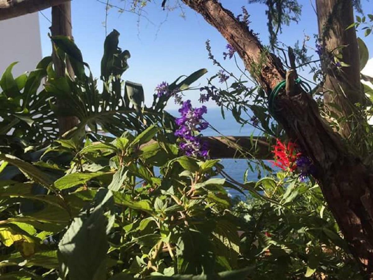 Casa Rosetta Villa Praiano Eksteriør billede