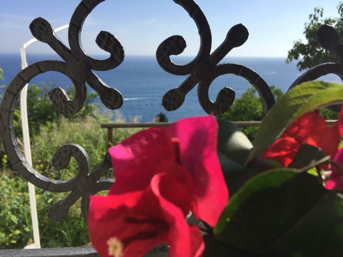 Casa Rosetta Villa Praiano Eksteriør billede